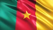 drapeau-cameroun.jpg